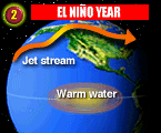 El Nino Year